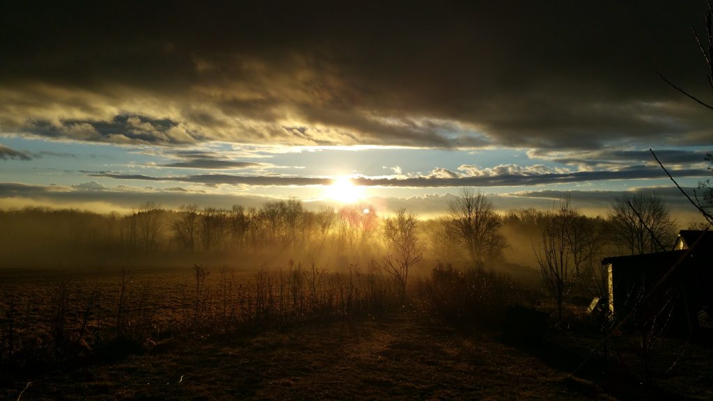 Sunrise Over Sowada Bee's Farm